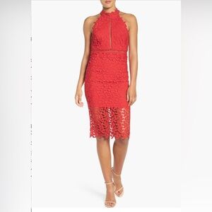 RED Bardot Gemma Halter Lace Sheath
Dress SMALL